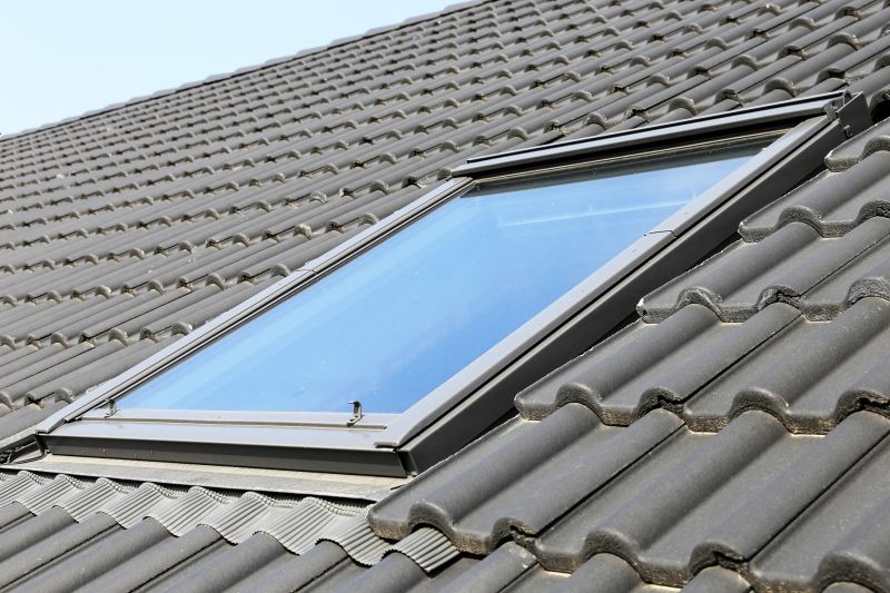 Professional Skylight Installer